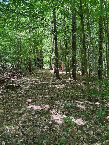 No Caption