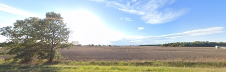 98+/- Acre Farm at Online Auction - image 4