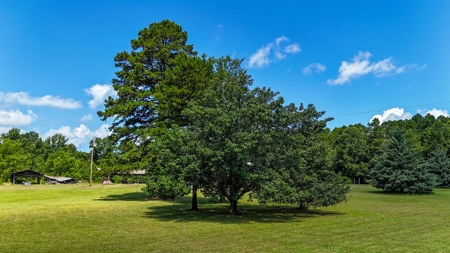 95 Acres of Farmland, Timber & Homes in Mecklenburg VA - image 12