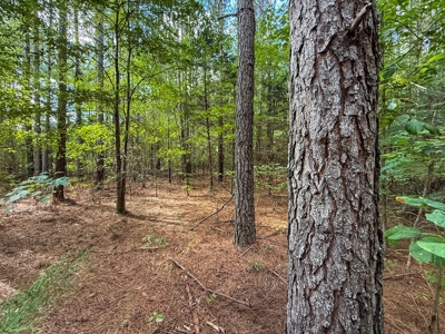 95 Acres of Farmland, Timber & Homes in Mecklenburg VA - image 23