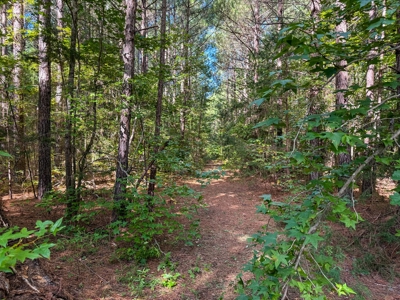 95 Acres of Farmland, Timber & Homes in Mecklenburg VA - image 22