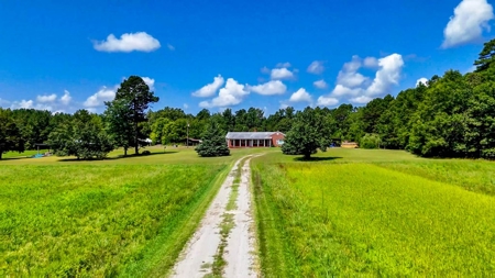 95 Acres of Farmland, Timber & Homes in Mecklenburg VA - image 3