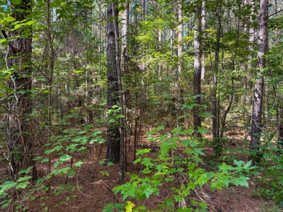 95 Acres of Farmland, Timber & Homes in Mecklenburg VA - image 21