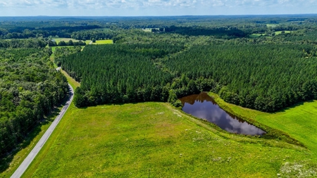 95 Acres of Farmland, Timber & Homes in Mecklenburg VA - image 14