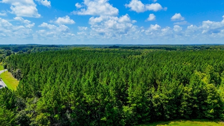 95 Acres of Farmland, Timber & Homes in Mecklenburg VA - image 20