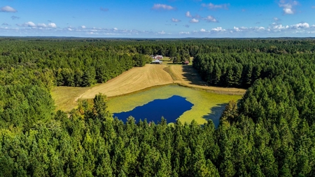 95 Acres of Farmland, Timber & Homes in Mecklenburg VA - image 15