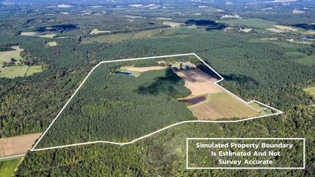 95 Acres of Farmland, Timber & Homes in Mecklenburg VA - image 2