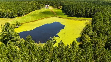 95 Acres of Farmland, Timber & Homes in Mecklenburg VA - image 11