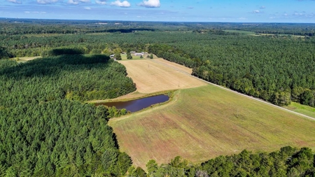 95 Acres of Farmland, Timber & Homes in Mecklenburg VA - image 16