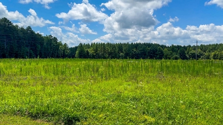 95 Acres of Farmland, Timber & Homes in Mecklenburg VA - image 19