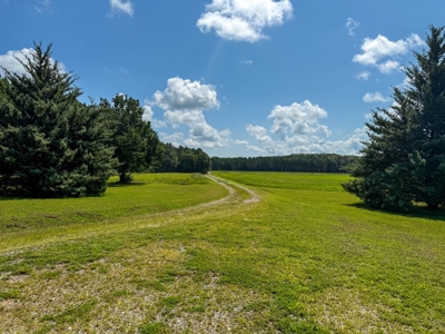 95 Acres of Farmland, Timber & Homes in Mecklenburg VA - image 18