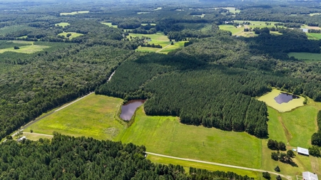 95 Acres of Farmland, Timber & Homes in Mecklenburg VA - image 13