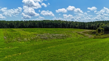 95 Acres of Farmland, Timber & Homes in Mecklenburg VA - image 17