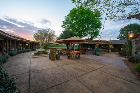 Luxury Ranch with Lakes and Venue - image 12