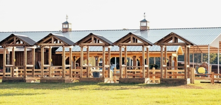 Luxury Ranch with Lakes and Venue - image 30