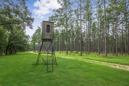 Luxury Ranch with Lakes and Venue - image 41