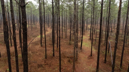 Luxury Ranch with Lakes and Venue - image 43