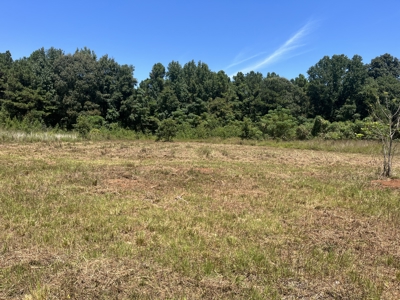 389 Acres Hunting & Timberland with Cabin-Autauga County, Alabama - image 39