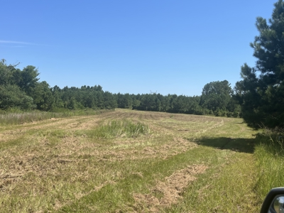 389 Acres Hunting & Timberland with Cabin-Autauga County, Alabama - image 22