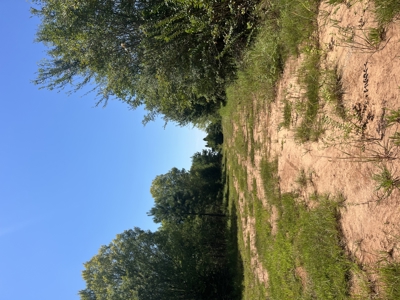 389 Acres Hunting & Timberland with Cabin-Autauga County, Alabama - image 34