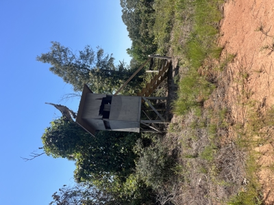 389 Acres Hunting & Timberland with Cabin-Autauga County, Alabama - image 40