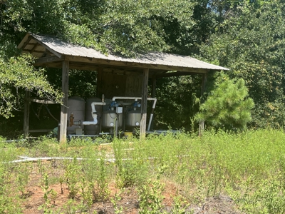 389 Acres Hunting & Timberland with Cabin-Autauga County, Alabama - image 27