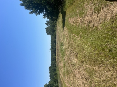 389 Acres Hunting & Timberland with Cabin-Autauga County, Alabama - image 21