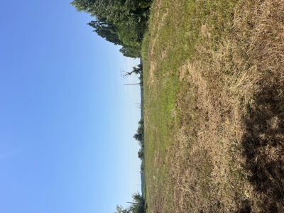 389 Acres Hunting & Timberland with Cabin-Autauga County, Alabama - image 29