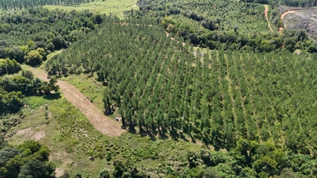 389 Acres Hunting & Timberland with Cabin-Autauga County, Alabama - image 46