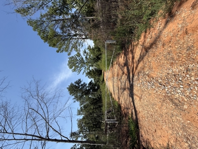 389 Acres Hunting & Timberland with Cabin-Autauga County, Alabama - image 17