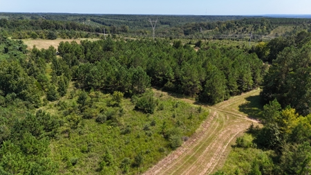 389 Acres Hunting & Timberland with Cabin-Autauga County, Alabama - image 48