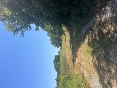 389 Acres Hunting & Timberland with Cabin-Autauga County, Alabama - image 28