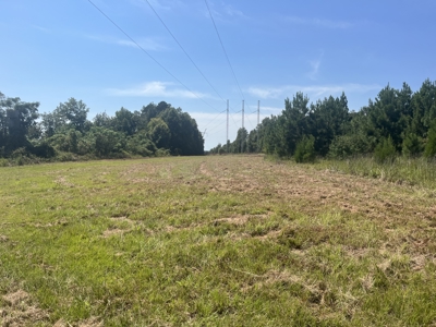 389 Acres Hunting & Timberland with Cabin-Autauga County, Alabama - image 33