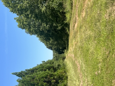 389 Acres Hunting & Timberland with Cabin-Autauga County, Alabama - image 37