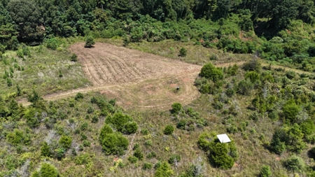 389 Acres Hunting & Timberland with Cabin-Autauga County, Alabama - image 42