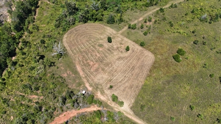 389 Acres Hunting & Timberland with Cabin-Autauga County, Alabama - image 41