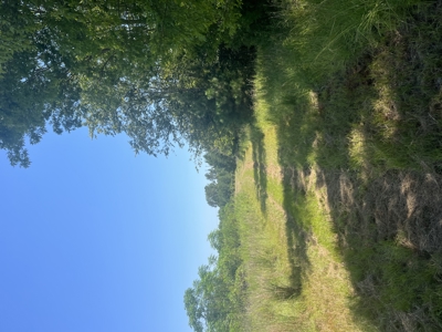 389 Acres Hunting & Timberland with Cabin-Autauga County, Alabama - image 23