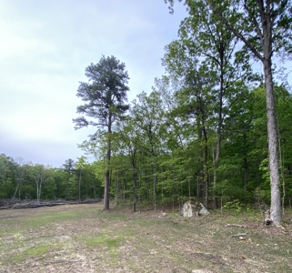 12.5 mostly wooded acres on South Mountain in Marshall, AR - image 9