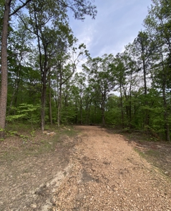 12.5 mostly wooded acres on South Mountain in Marshall, AR - image 12