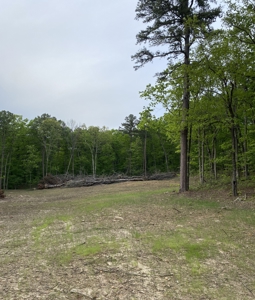 12.5 mostly wooded acres on South Mountain in Marshall, AR - image 5