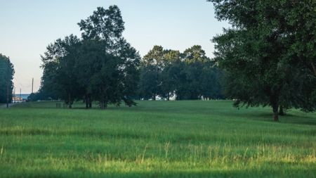 Golden Pines Ranch 235 Acres in Stone County MS - image 47