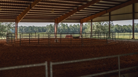 Golden Pines Ranch 235 Acres in Stone County MS - image 3