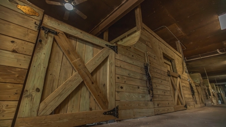 Golden Pines Ranch 235 Acres in Stone County MS - image 31