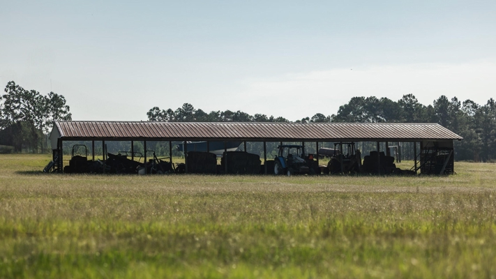 Golden Pines Ranch 235 Acres in Stone County MS