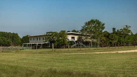 Golden Pines Ranch 235 Acres in Stone County MS - image 5