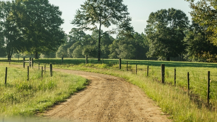 Golden Pines Ranch 235 Acres in Stone County MS