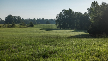 Golden Pines Ranch 235 Acres in Stone County MS - image 14