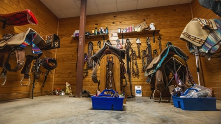 Golden Pines Ranch 235 Acres in Stone County MS - image 33