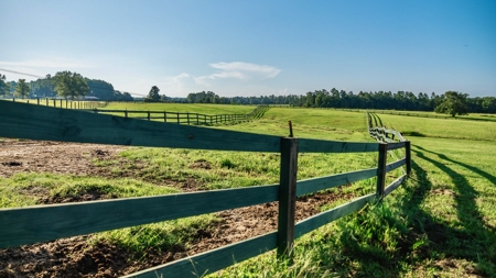 Golden Pines Ranch 235 Acres in Stone County MS - image 41