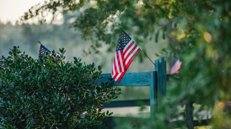 Golden Pines Ranch 235 Acres in Stone County MS - image 9